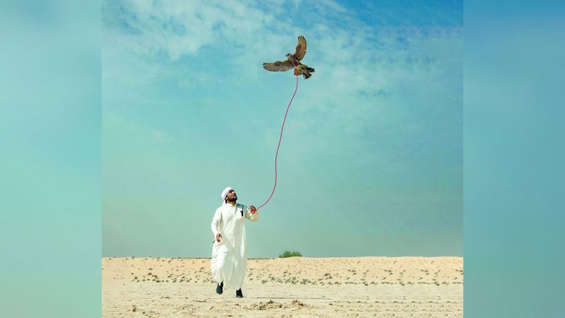 الامارات | الصقارة..  إرث القيم  النبيلة