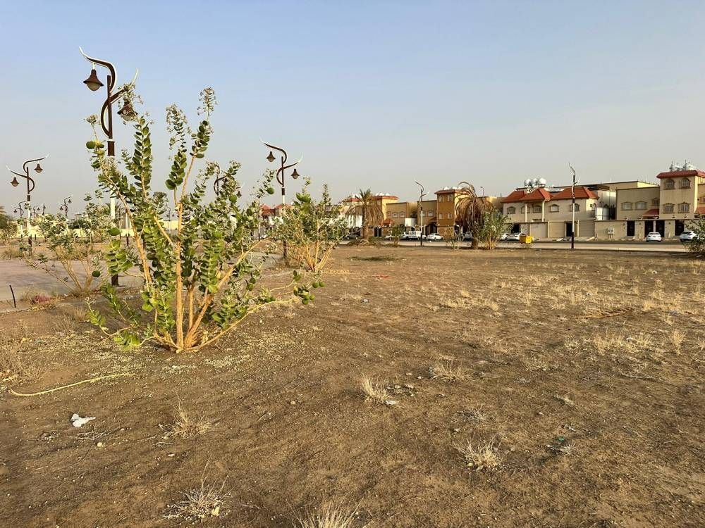 حديقة مستورة نجران بلا تشجير أو مسطحات الخضراء