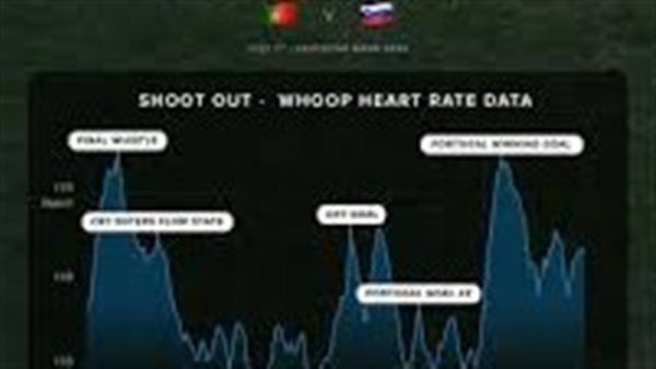 يورو 2024 : كريستيانو رونالدو معرض لعقوبات من"ويفا" اعرف السبب