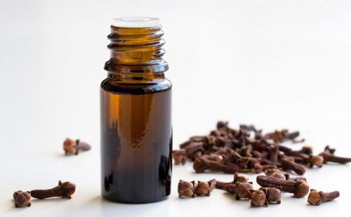 ضع 5 حبات من مسامير القرنفل قبل الدخول غرفة النوم بلحظات بهذه الطريقة “رح تسدد جميع ديونك الزوجية مع زوجتك” !