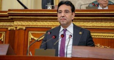 النائب أيمن محسب يطالب الحكومة بتقديم برنامج يتضمن رؤى واقعية للتعامل مع التحديات الراهنة