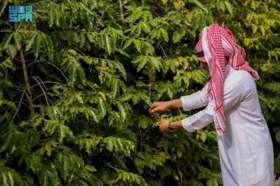 تحديد متطلبات عدم الممانعة لممارسي الأنشطة الإعلامية