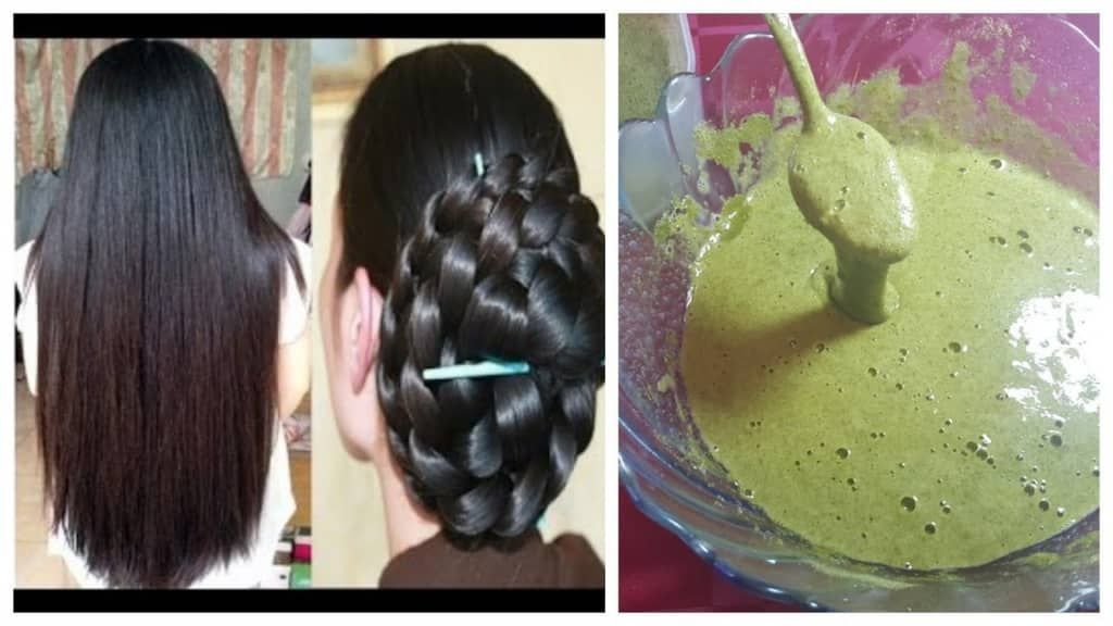 بديل المواد الكيميائية.. فوائد ورق السدر وطريقة تحضير شامبو طبيعي منه في أقل من 5 دقائق