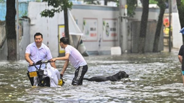 مقتل شخص وإصابة 79 آخرين جراء إعصار شرقي الصين