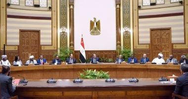 برلمانية الوفد بالشيوخ تثمن جهود مصر للحفاظ على وحدة السودان
