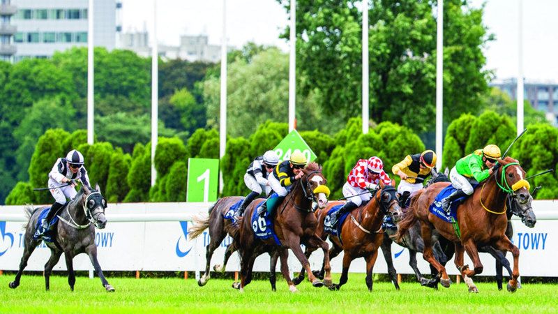 الامارات | 12 خيلاً تتنافس على كأس رئيس الدولة في بولندا اليوم