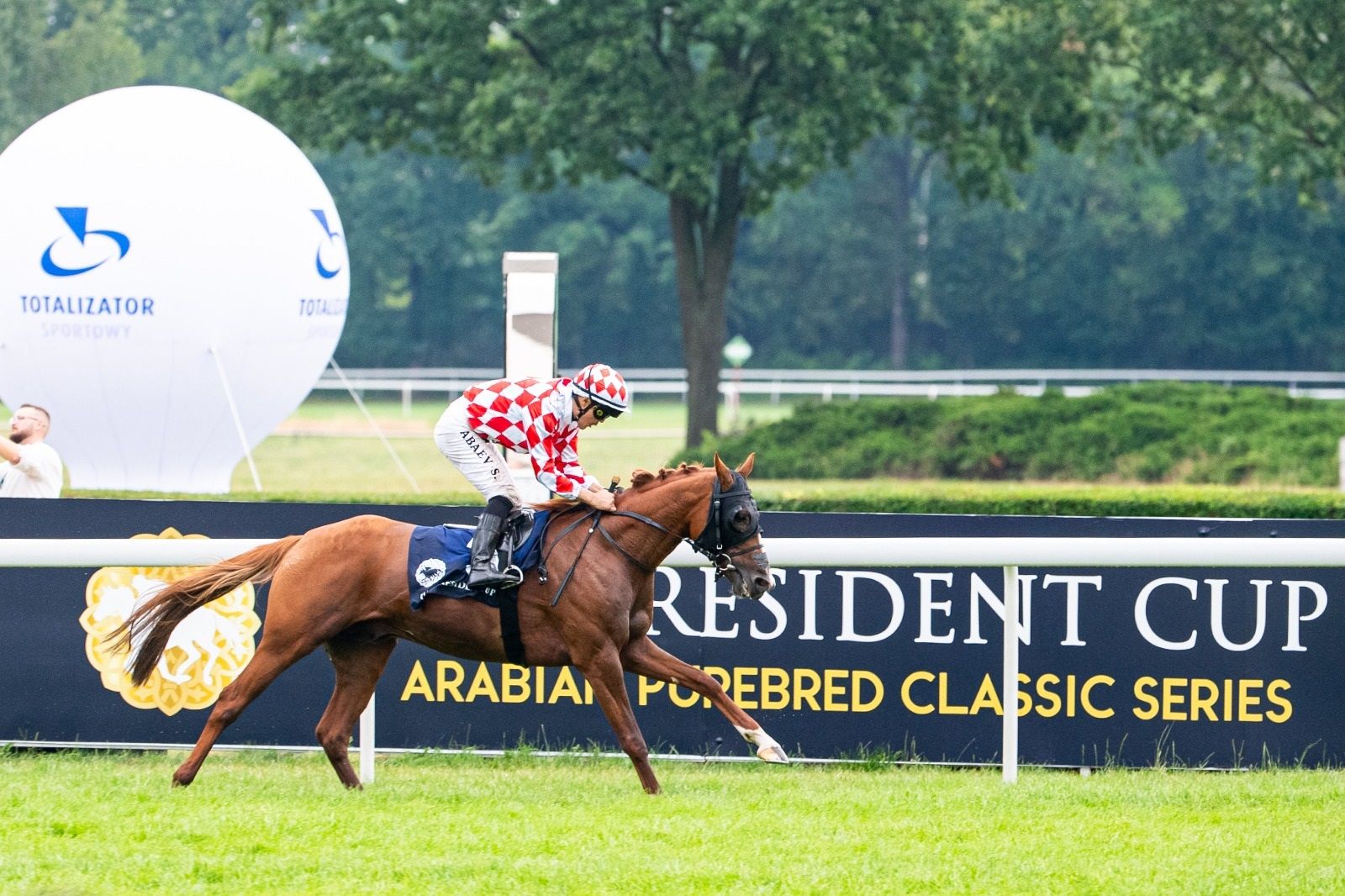 الامارات | المهر "باد جاي بومبادور" يتوج بكأس رئيس الدولة للخيول العربية في بولندا