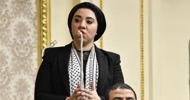 النائبة أميرة صابر تطالب باستغلال دور التواصل السياسى فى حل ملفات الشارع السياسى