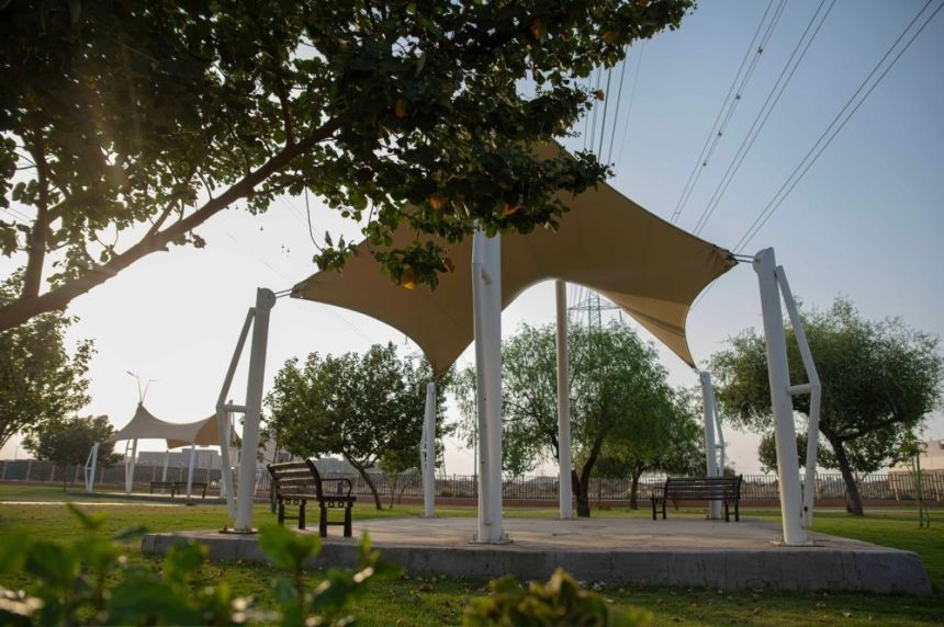 لتعزيز الاستدامة بالطائف.. زيادة المسطحات الخضراء لـ 8 ملايين م²