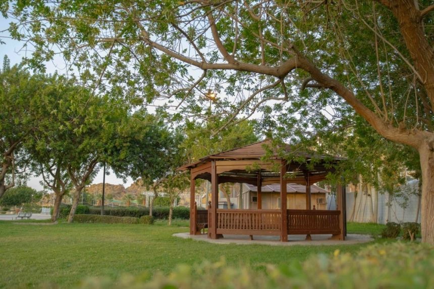 لتعزيز الاستدامة بالطائف.. زيادة المسطحات الخضراء لـ 8 ملايين م²