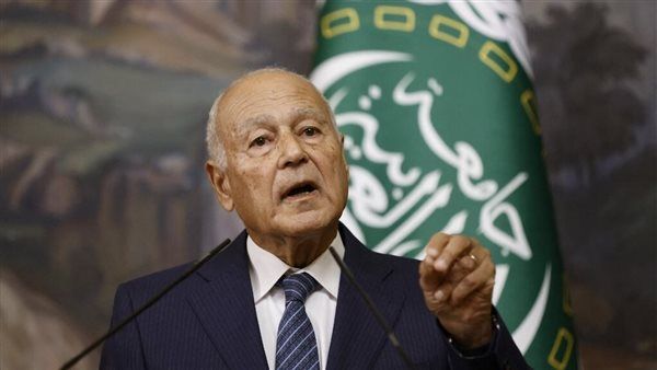 أبو الغيط يدعو اليابان للاعتراف بالدولة الفلسطينية انحيازاً للجانب الصحيح من التاريخ