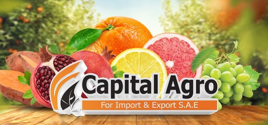 فرص عمل بشركة كابيتال أجرو للاستيراد والتصدير بالقاهرة والجيزة