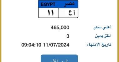 مزاد على لوحة "أ ع- 11" المميزة يرفع سعرها لـ465 ألف جنيه
