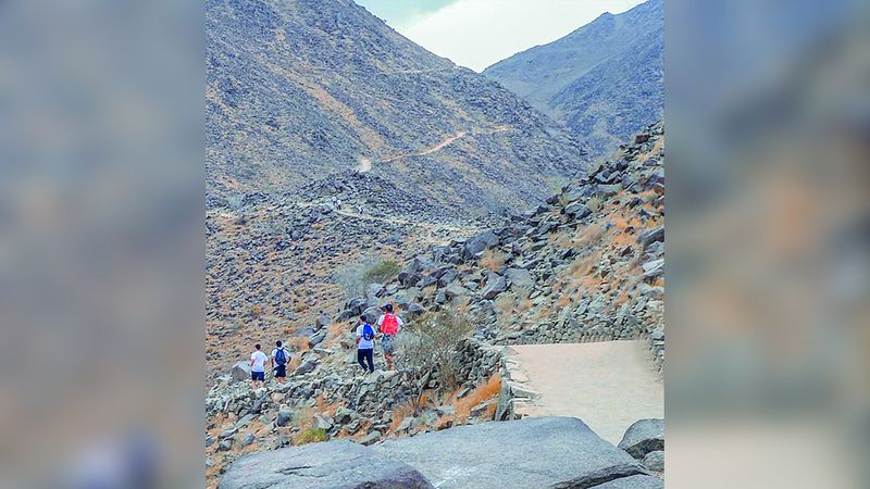 الامارات | إنقاذ 5 أشخاص تعرضوا لحوادث جبلية منذ بداية الصيف