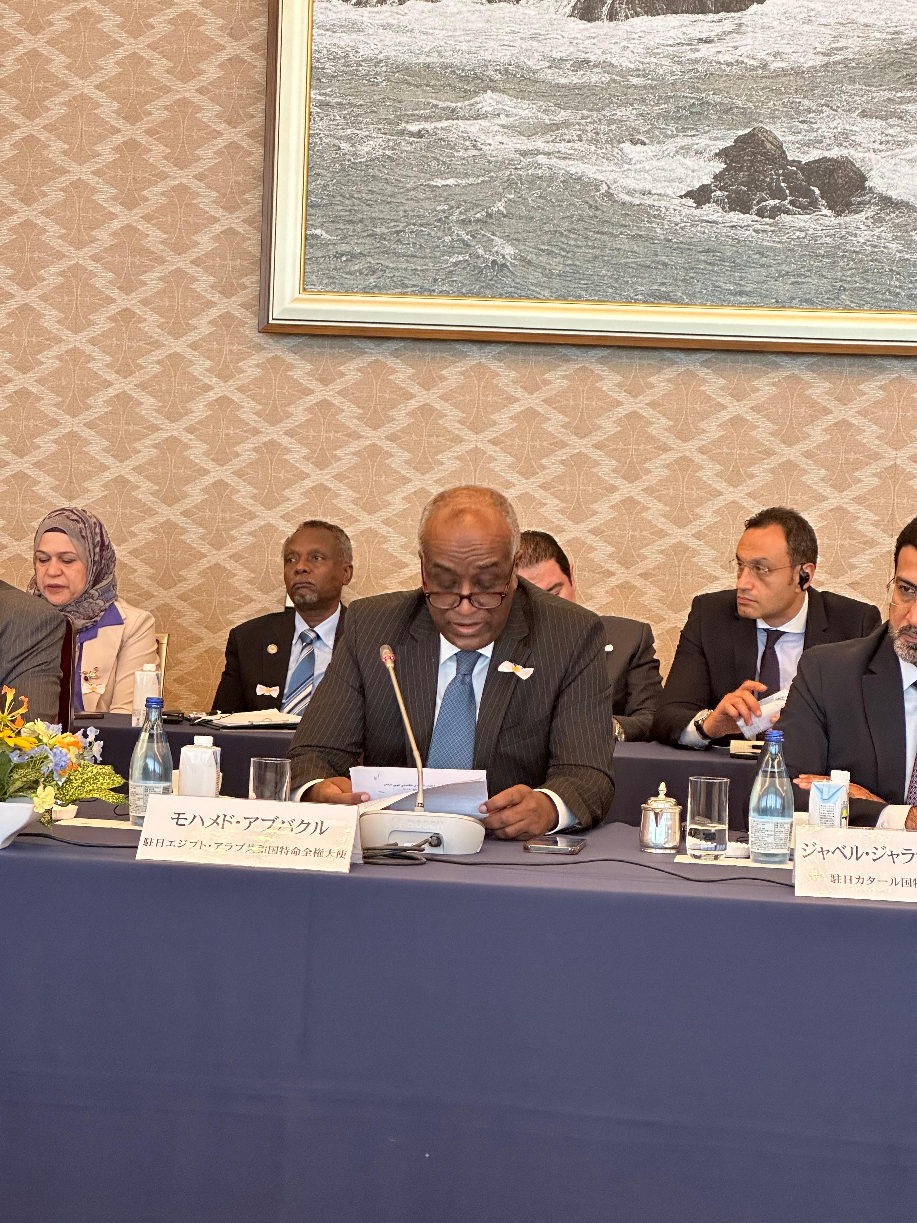 سفير مصر باليابان: الدولة المصرية مستمرة بإرادة لا تلين فى القيام بالإصلاحات الاقتصادية