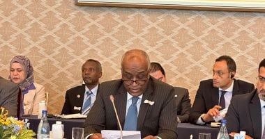 سفير مصر باليابان: الدولة المصرية مستمرة بإرادة لا تلين فى القيام بالإصلاحات الاقتصادية