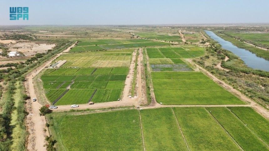 فريق مركز الملك سلمان للإغاثة يتفقد المشروعات التنموية في السنغال