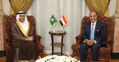 وزير الخارجية والهجرة وشئون المصريين بالخارج يستقبل أمين عام مجلس التعاون الخليجى