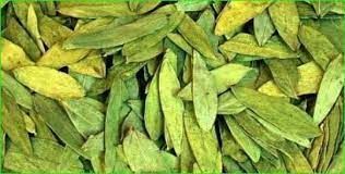 اقوى بمليون مره من ابرة الانسولين عشبة جبارة تخفض السكر التراكمي في الدم فورإ خلال دقائق فقط