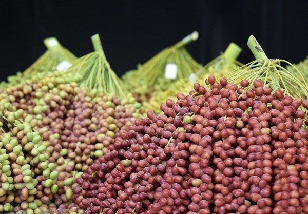 غداً.. انطلاق مهرجان ليوا للرطب بدورته الـ20