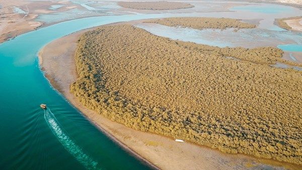 «شبكة زايد للمحميات» تعزز مكانة الدولة على خريطة العمل البيئي العالمي