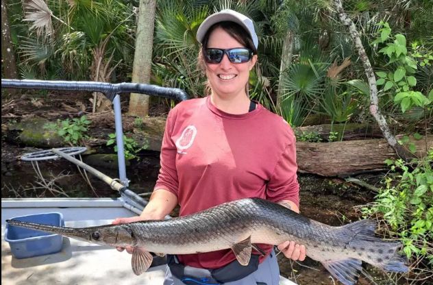 تكنولوجيا: علماء يعثرون على سمكة ملتوية مثيرة للاهتمام بعمود فقرى غير طبيعى فى أمريكا