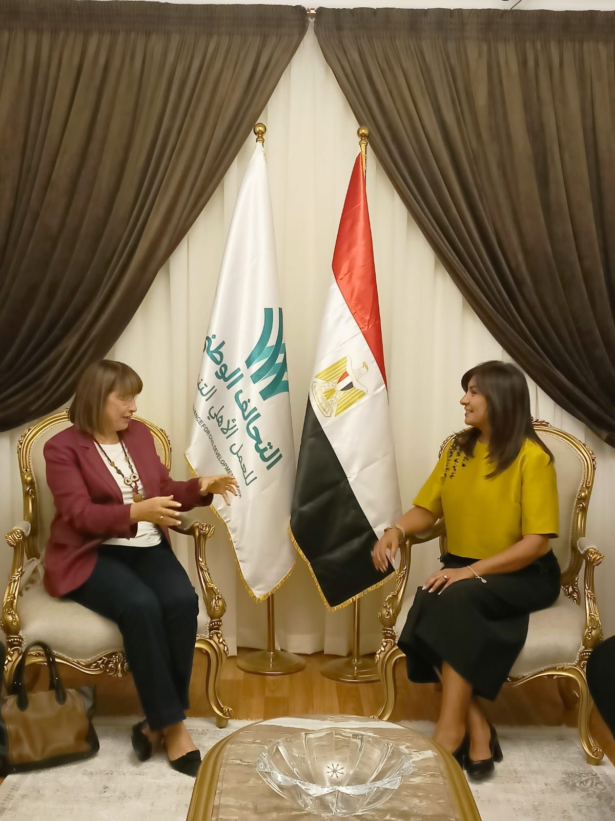 التحالف الوطنى يستقبل منسق الأمم المتحدة فى مصر