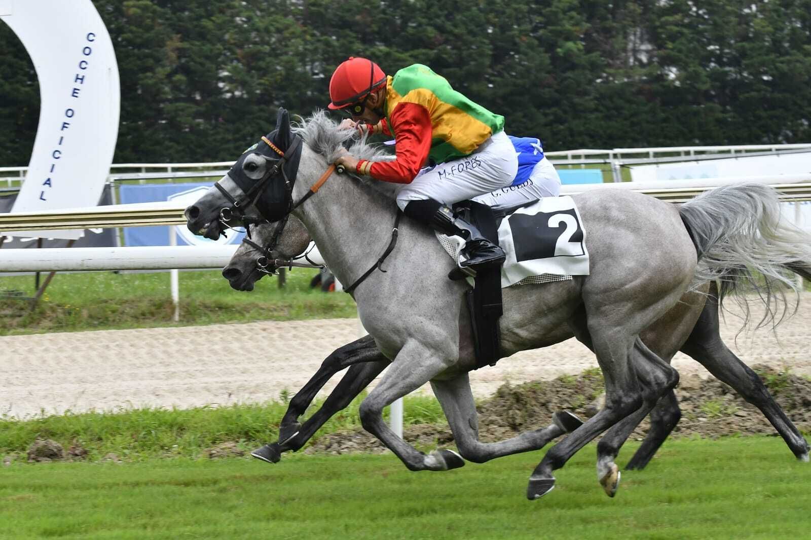 الامارات | الفرس "فاتنة" تظفر بكأس زايد للخيول العربية في إسبانيا