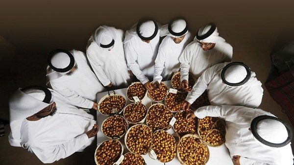 اليوم..انطلاق مهرجان ليوا للرطب بدورته الـ 20