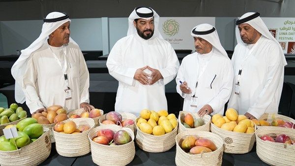 «ليوا للرطب».. تتويج الفائزين في مزاينة «الدباس»