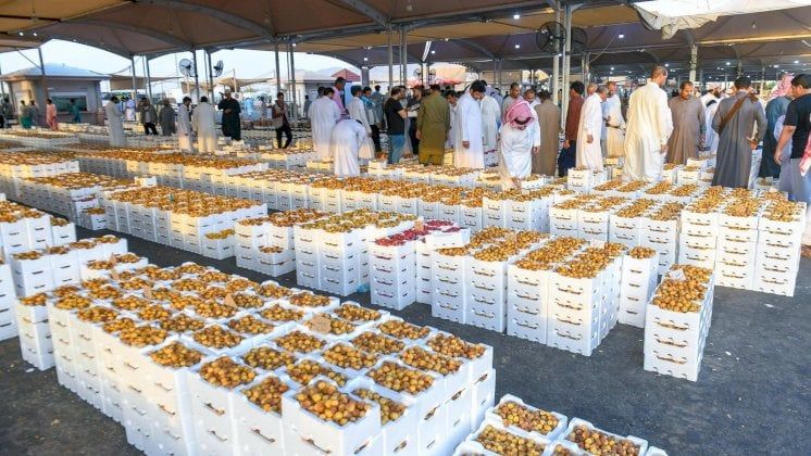 سوق الرُطب والتمور بالمدينة المنورة.. بهجة صيف المملكة
