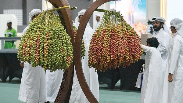 السوق الشعبي.. عبق الماضي والذكريات في «ليوا للرطب»