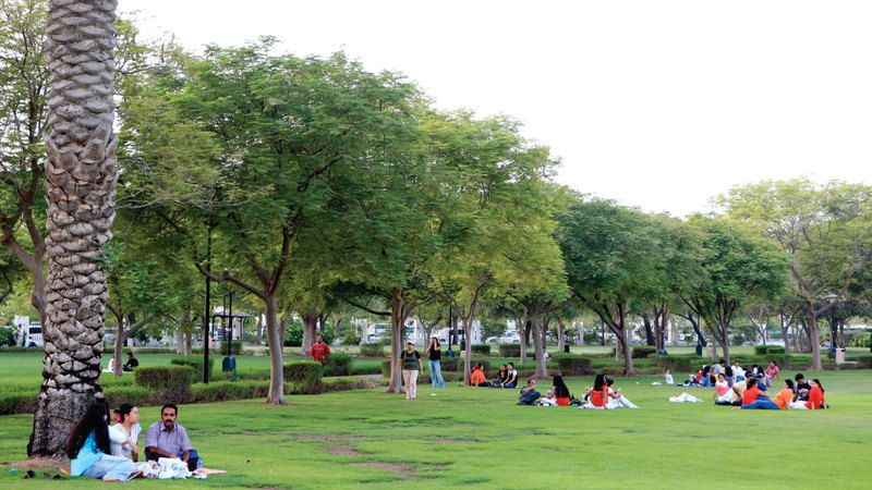 الامارات | حديقة الصفا.. ملاذ هادئ لأهل دبي وزوّارها