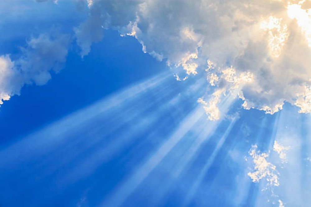 انخفاض نسبة الغازات المستنفدة لطبقة الأوزون في المملكة