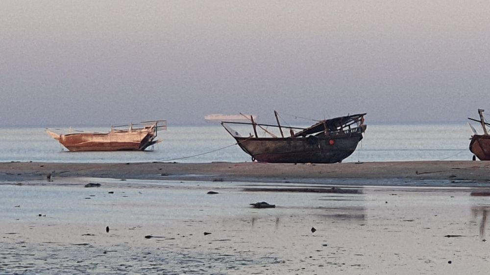 صور| صيادو الروبيان يترقبون موسمًا وفيرًا.. والطرادات الصغيرة تتصدر الإمداد