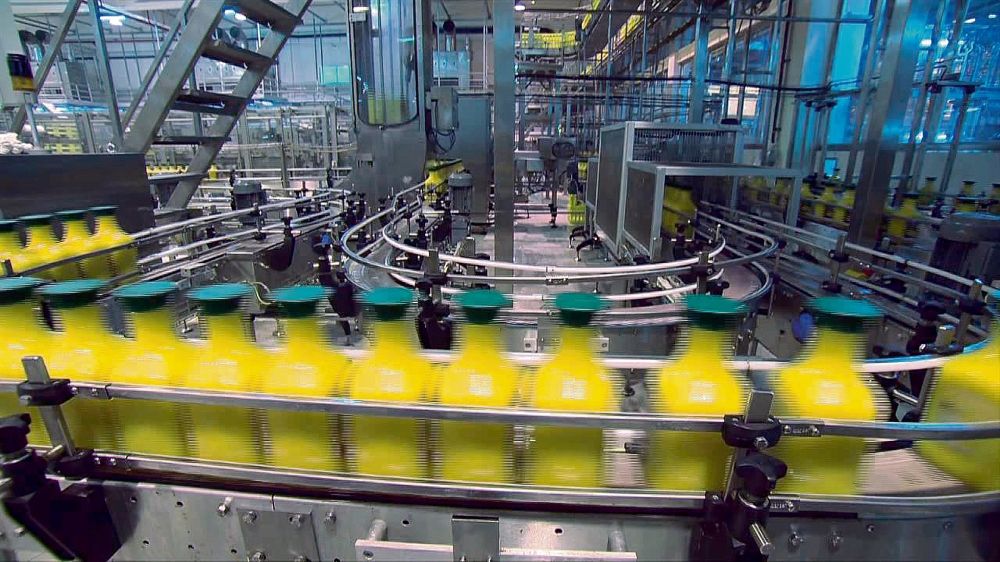 طرح فرصة استثمارية لتربية الأبقار وإنتاج الألبان في مكة المكرمة