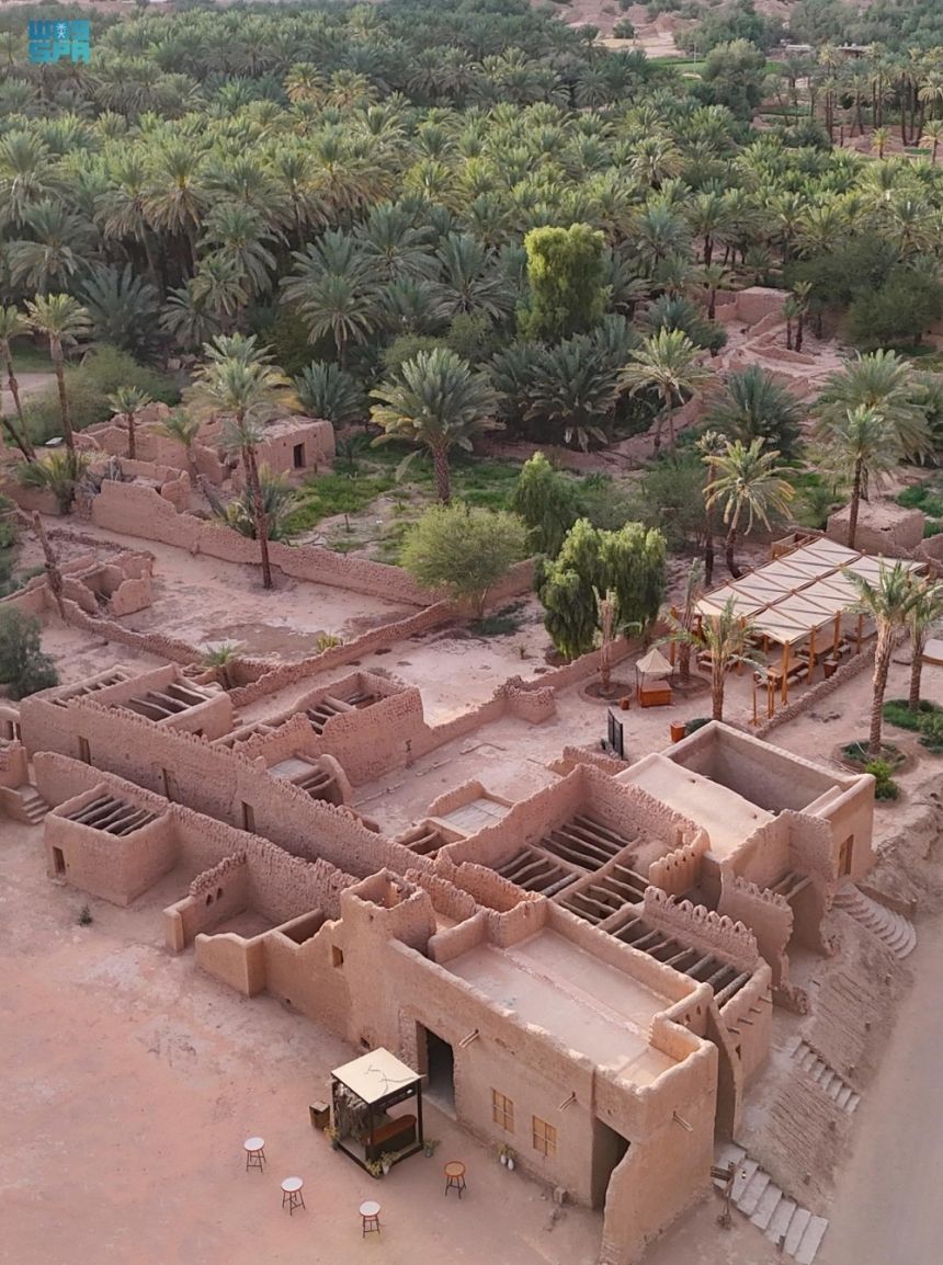 العلا.. ارتفاع أعداد النخيل لأكثر من 3 ملايين