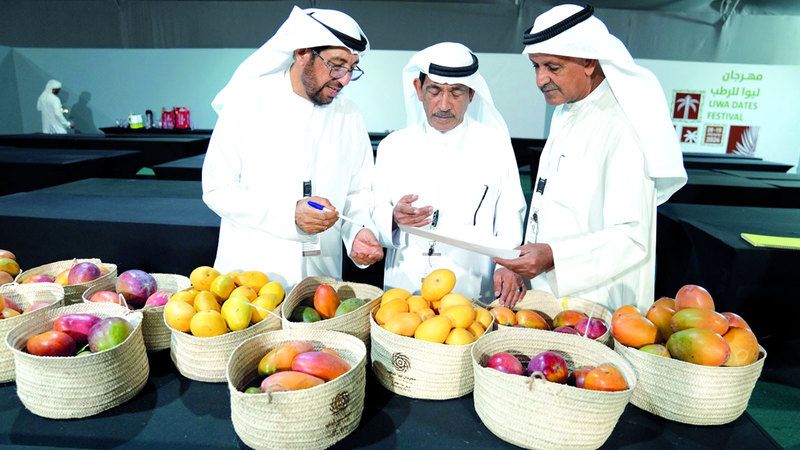 الامارات | أبطال ليوا للرطب..  قصص نجاح من خيرات الإمارات