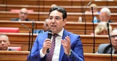 النائب أيمن محسب يطالب المجتمع الدولى بتمكين شعب فلسطين من حقوقه المشروعة