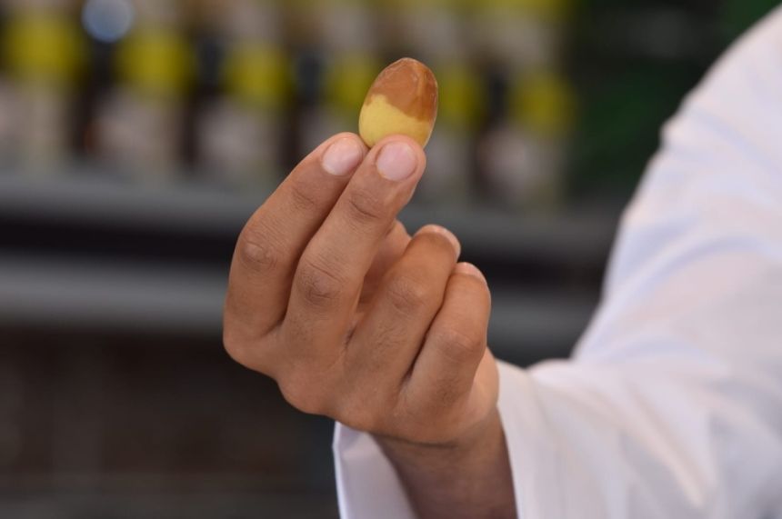 "جائلة الرطب".. تراخيص غائبة وبضائع مهددة بالفساد