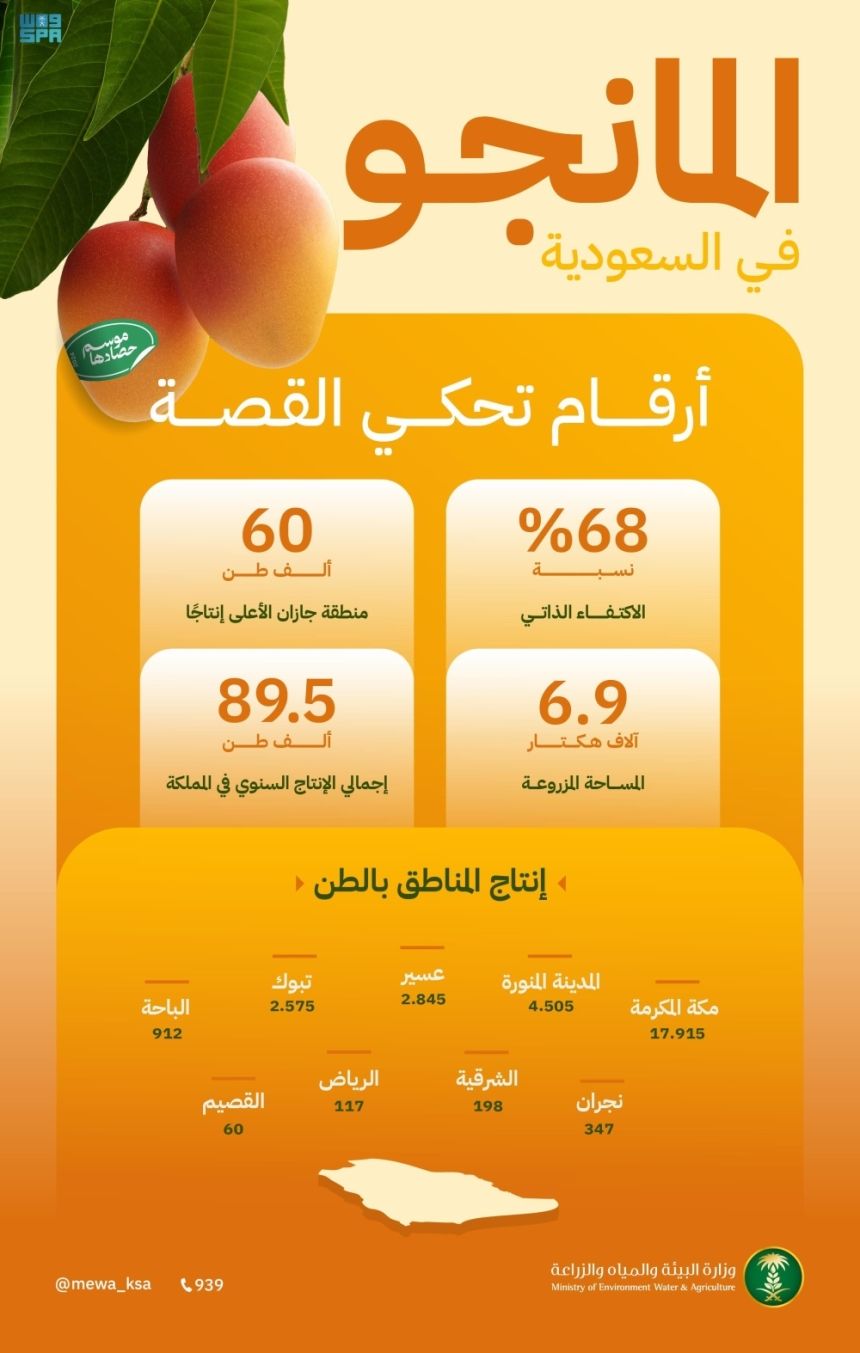 اكتفاء ذاتي بنسبة 68%.. المملكة تنتج 89.5 ألف طن من المانجو سنويًا