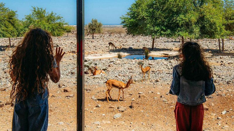 الامارات | الساحل الشرقي للشارقة.. إطلالة على التاريخ والطبيعة