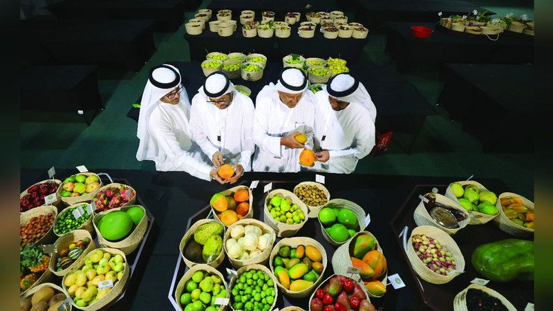 الامارات | فواكه الدار.. خيرات الإمارات تتنافس في «ليوا للرطب»