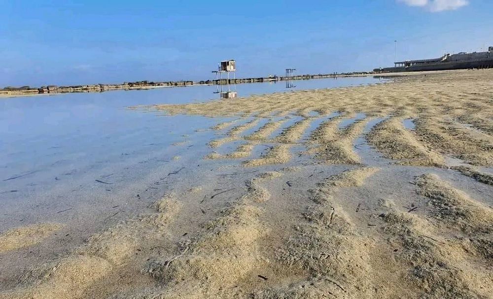 اضطراب أمواج البحر.. بيان رسمي بشأن أنباء انحسار مياه الشواطئ