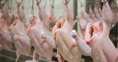 أسعار الفراخ البيضاء فى الأسواق اليوم الجمعة