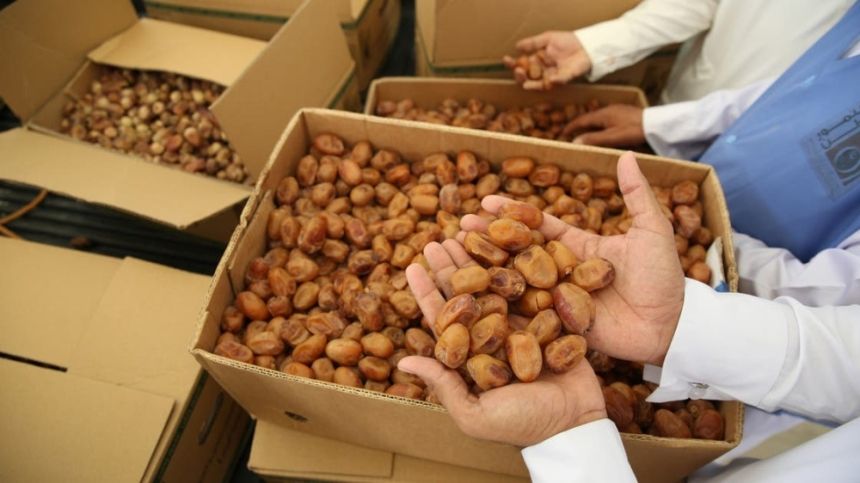 لتنظيم حركة تداول التمور.. تفاصيل إطلاق نظام الأسواق الموسمية