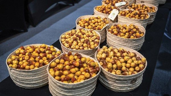 مسابقات وأنشطة تراثية في "ليوا للرطب"