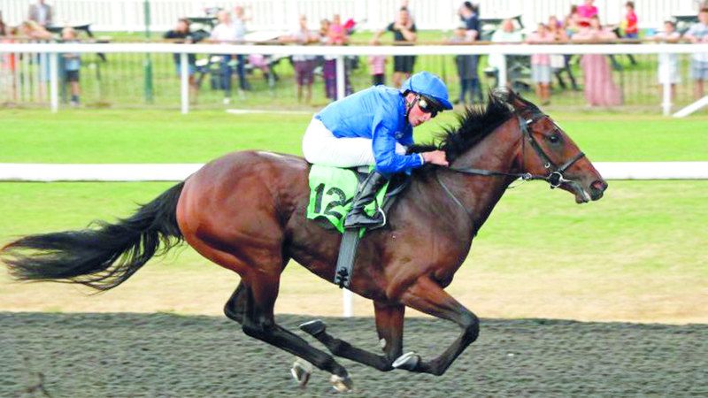 الامارات | «سيلفر نوت» ينشد لقب «بولينغ غرين ستيكس» الأميركي