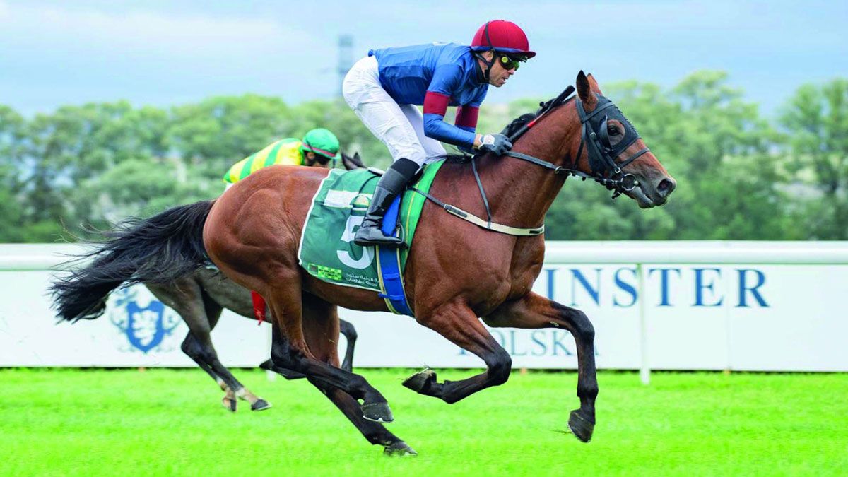 الامارات | رياضة محلية في صور