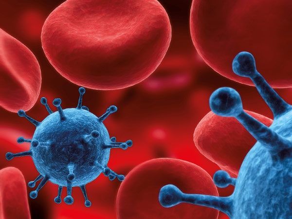 الامارات | علماء يكتشفون بكتيريا قادرة على إذابة بعض أنواع السرطان